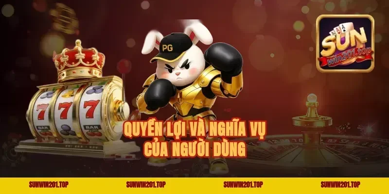 Quyền lợi và nghĩa vụ của người dùng