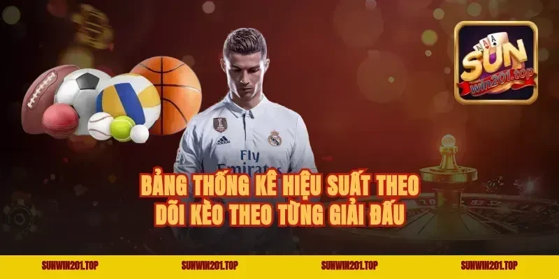 Bảng Thống Kê Hiệu Suất Theo Dõi Kèo Theo Từng Giải Đấu