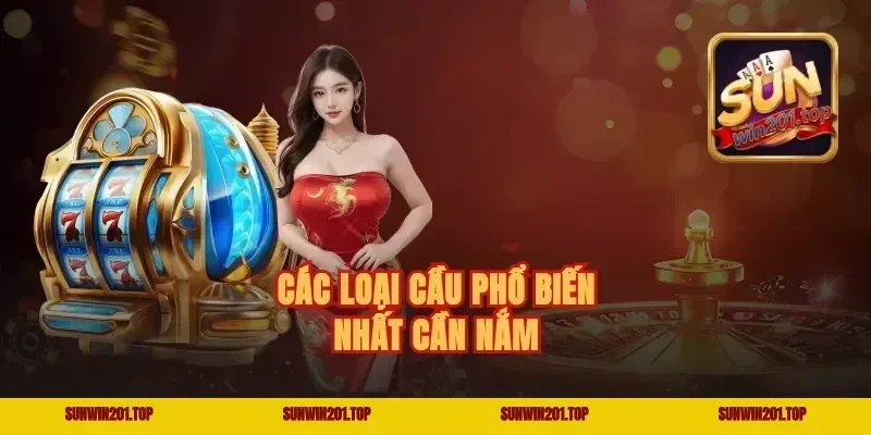 Các loại cầu phổ biến nhất cần nắm
